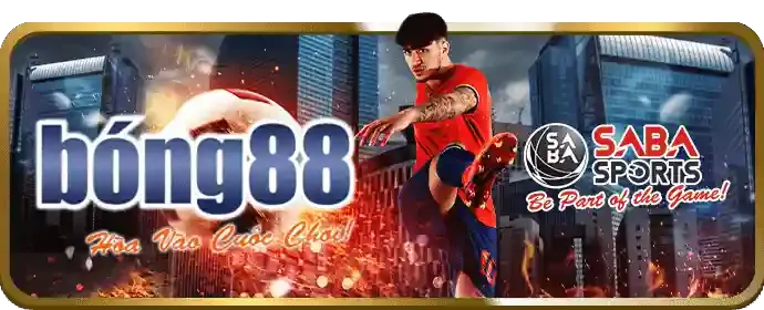 Chính sách cá cược có trách nhiệm